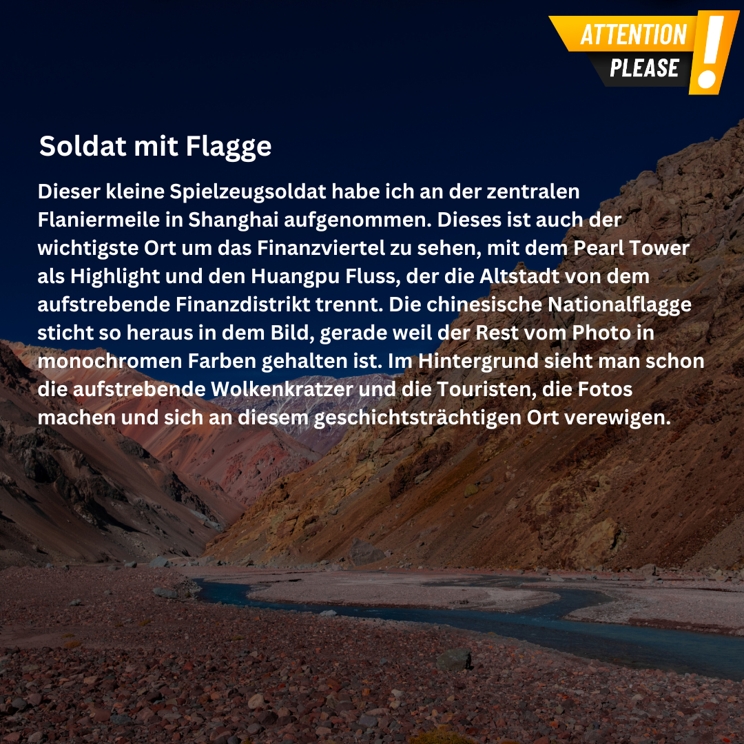 Leinwand - Soldat mit Flagge
