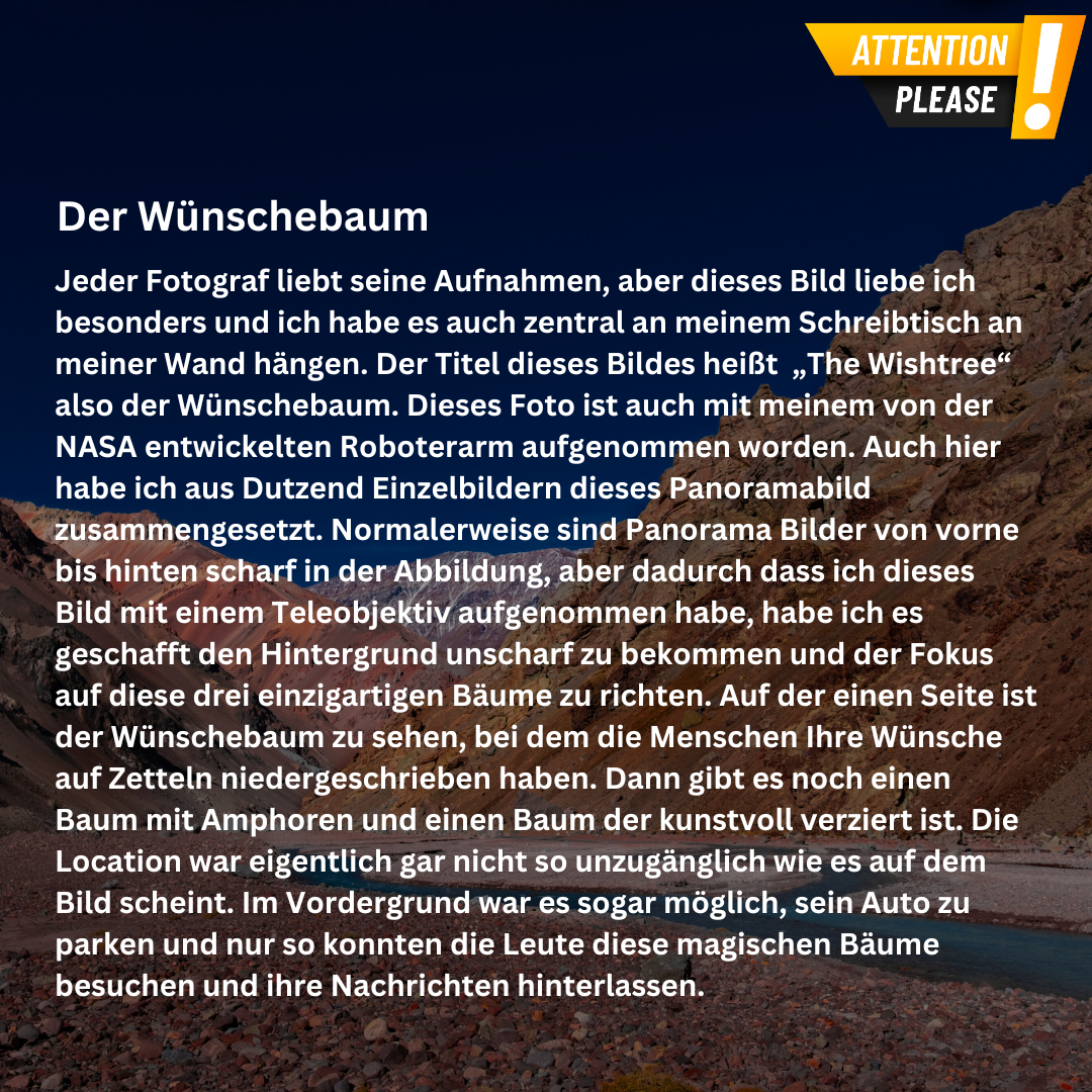 Leinwand - Der Wünschebaum