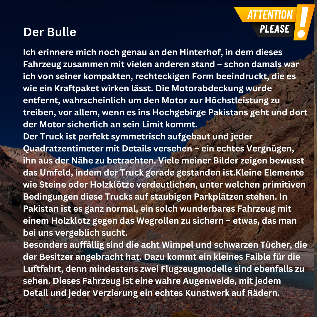 Acryldruck - Der Bulle